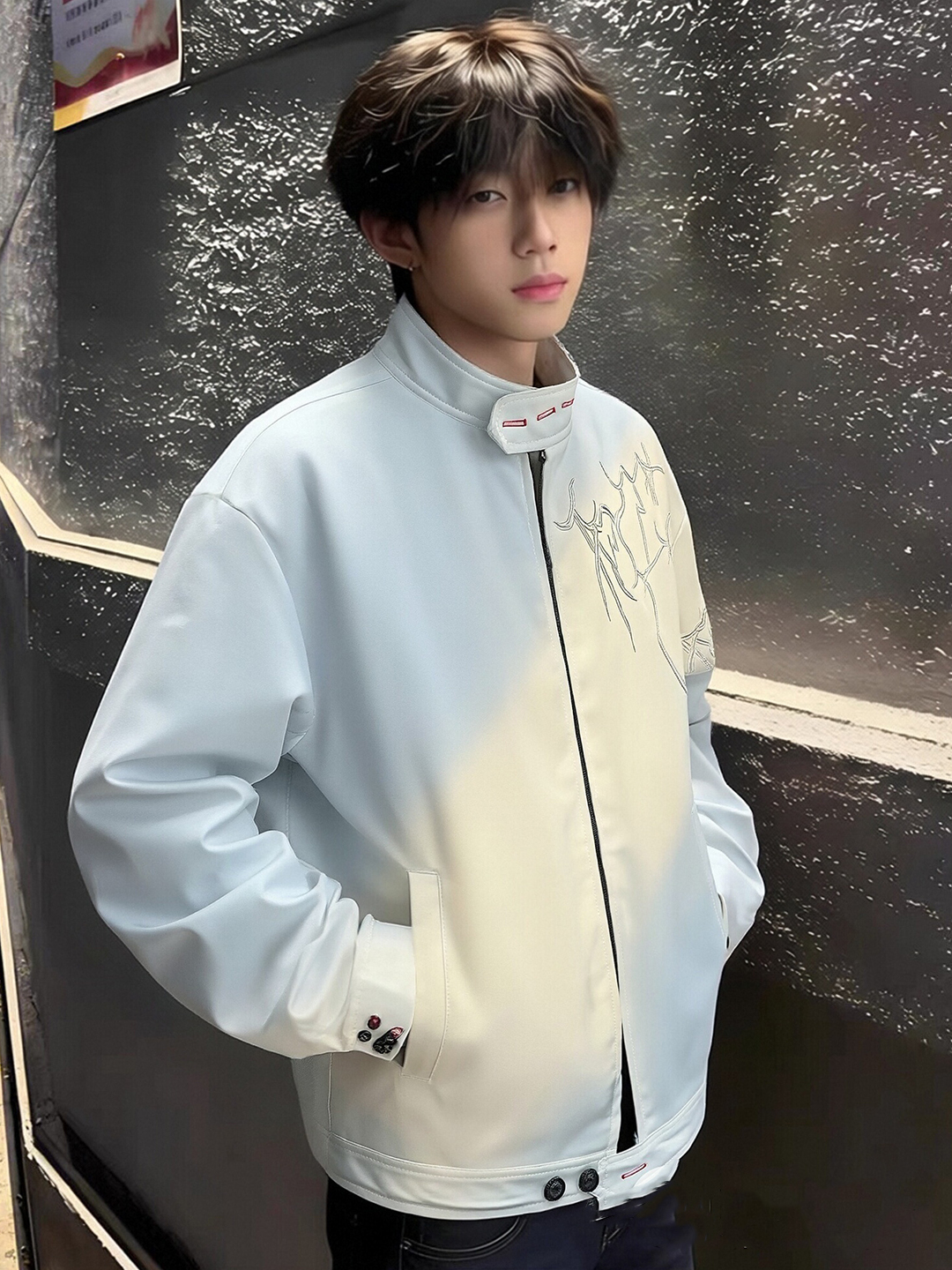 White Embroidered Short Jacket - Harrington Jacket recensie en prijs